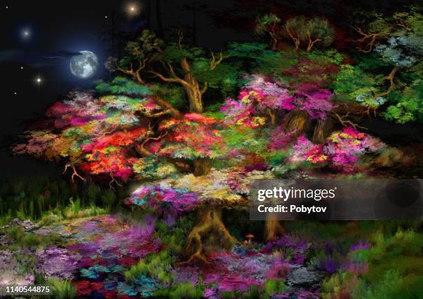 magical night in the fairy forest - magical forest stock illustrations