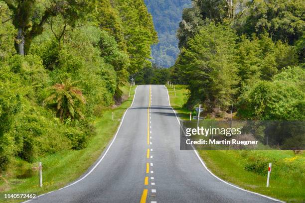 haast pass (highway 6), road through rainforest. - mountain pass 個照片及圖片檔