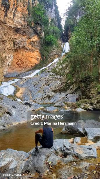 man looking at the cascade at salto del caburni natural park - cuba sancti spíritus stock pictures, royalty-free photos & images