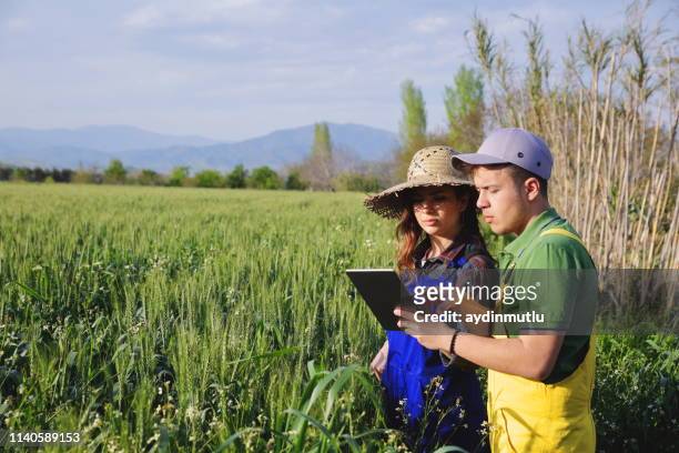 two farmer standing in a field and looking at tablet - controle de qualidade imagens e fotografias de stock