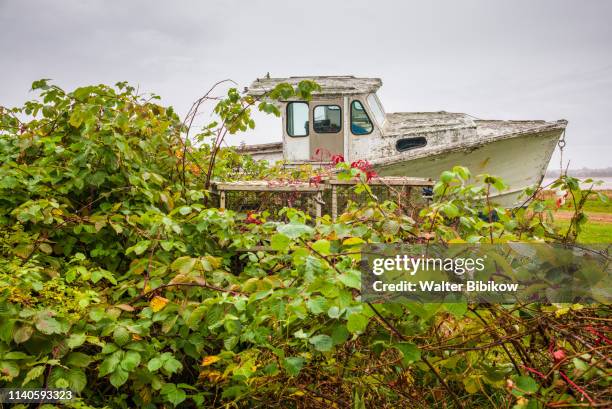 canada, prince edward island, victoria, abandoned fishing boat - victoria prince edward island stock pictures, royalty-free photos & images