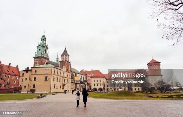 wawel royal castle in krakow, poland - wawel castle stock pictures, royalty-free photos & images