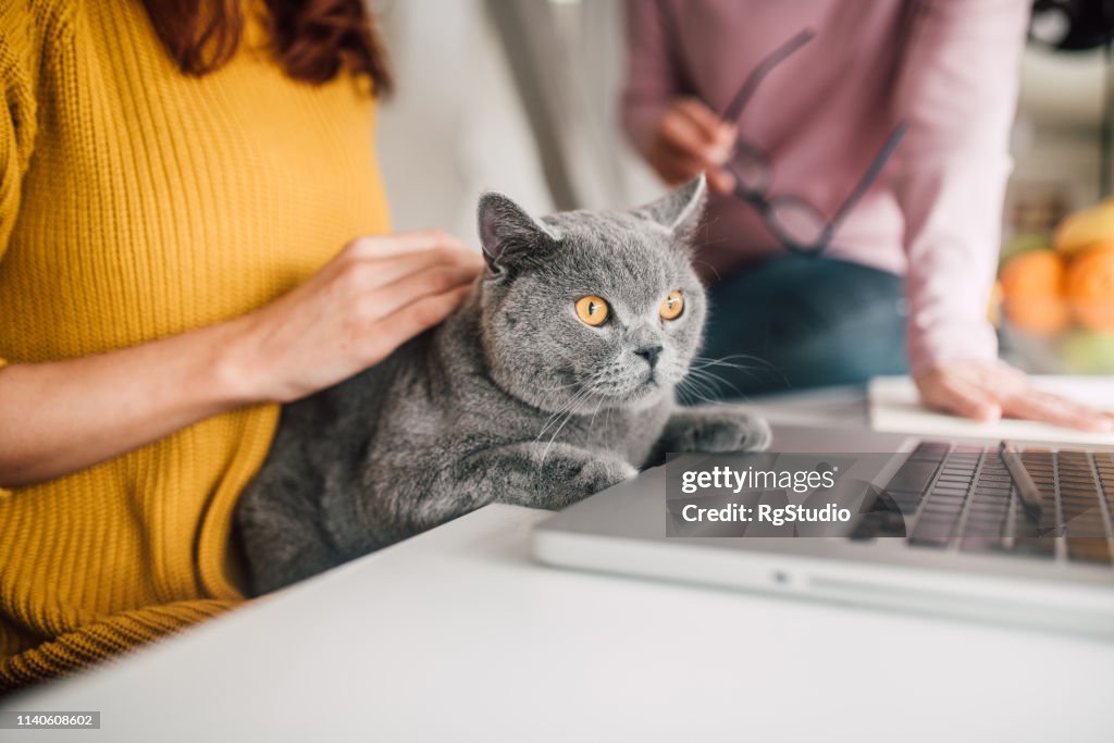 Vrouwen Holding Cat door laptop