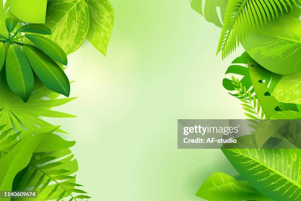 stockillustraties, clipart, cartoons en iconen met jungle groene achtergrond - tropische boom