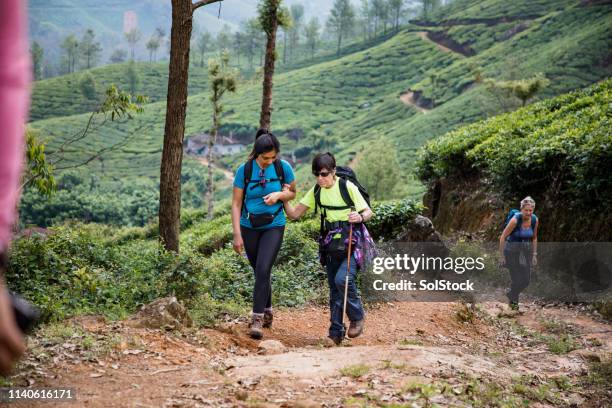 assisting a friend - blindness imagens e fotografias de stock