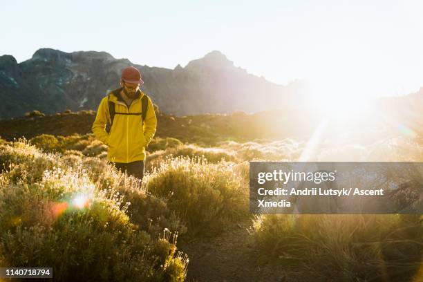 young man treks through alpine landscape, sunrise - escapismo foto e immagini stock