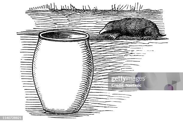 mole trap - mole stock illustrations
