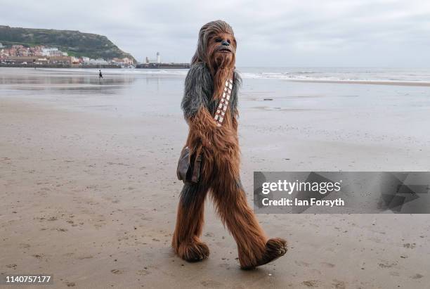 Will Hyde from Darlington wears the costume of the Chewbacca character from the movie Star Wars as he walks across the beach on the first day of the...