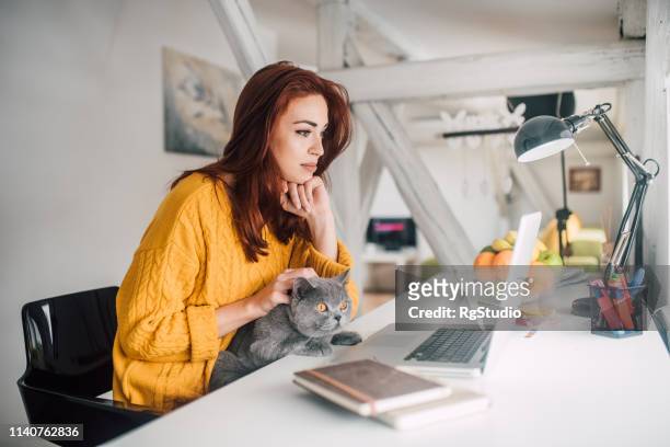 meisje met behulp van laptop en aaien kat - cat laptop stockfoto's en -beelden