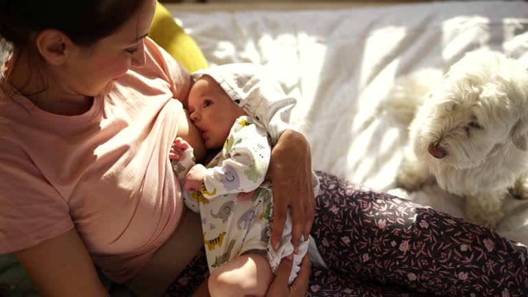 Woman Breastfeeding Animals Videos and HD Footage - Getty Images Woman Breastfeeding Animals Videos and HD Footage - Getty Images
