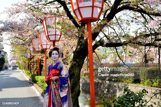 japanese woman in miako’ s costume enjoying cherry blossom in kyoto - hanami stock pictures, royalty-free photos & images