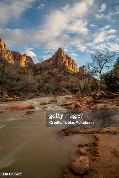 river through zion national park - virgin river stock pictures, royalty-free photos & images