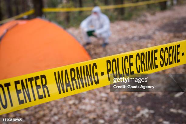 forensics at the murder scene - criminal investigation stock pictures, royalty-free photos & images