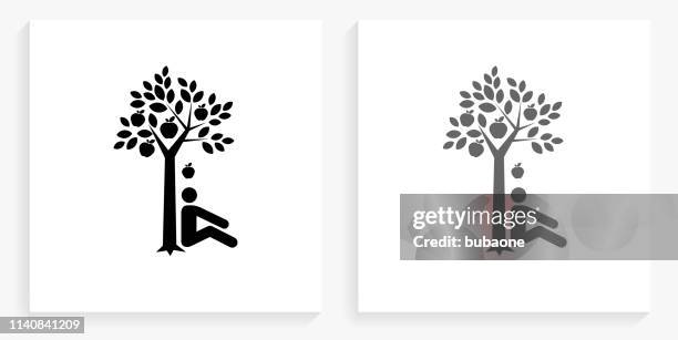 discovering gravity black and white square icon - apple falling from tree stock illustrations