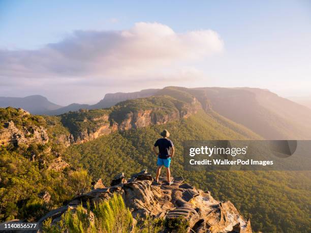 man standing on peak of blue mountains in new south wales, australia - great dividing range stock-fotos und bilder