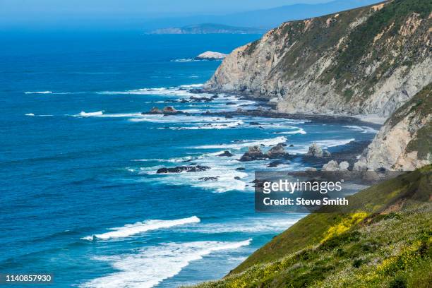 coastline in tomales, san francisco, usa - bahía tomales fotografías e imágenes de stock