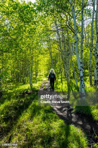 woman hiking in sun valley, idaho, usa - sun valley idaho stock-fotos und bilder