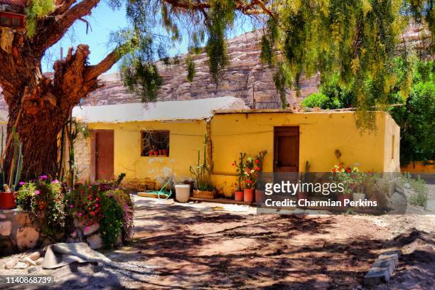pretty yellow house in mexico, mexican homestead with colourful tropical plants and cacti - guadalajara mexico stock-fotos und bilder