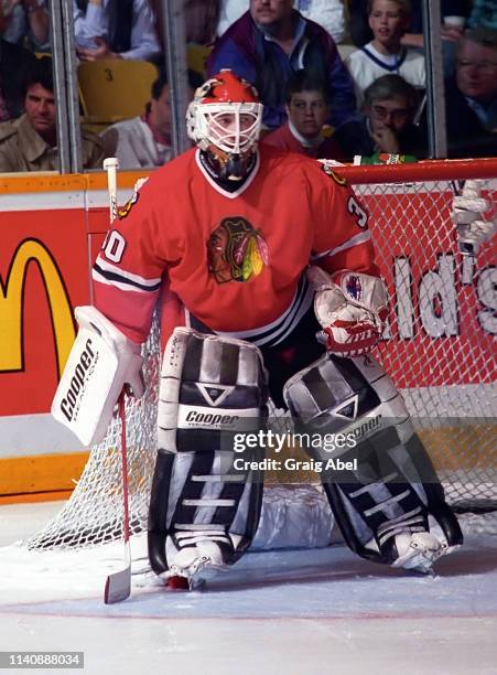 Ed Belfour Photos and Premium High Res Pictures - Getty Images