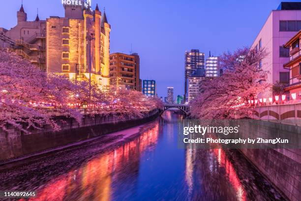 cherry blossom night view over the river in spring with cityscape tokyo, japan. - lantern festival cherry blossom photos et images de collection