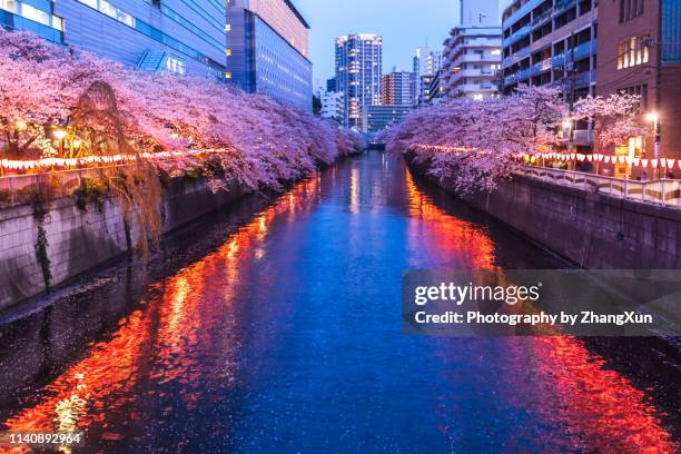 cherry blossom night view over the river in spring with cityscape tokyo, japan. - lantern festival cherry blossom stockfoto's en -beelden