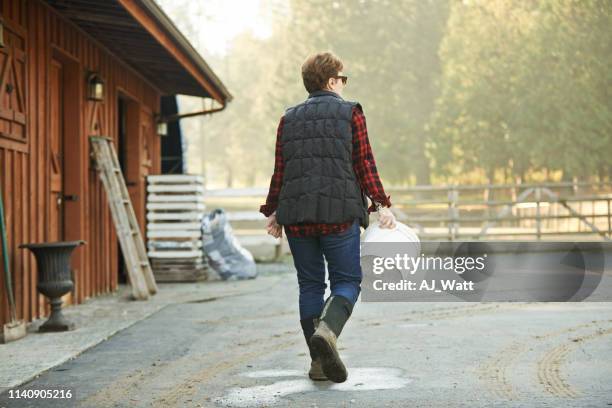 il faut travailler dur pour gérer une ferme - daily bucket photos et images de collection