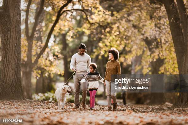 happy afro-amerikaanse familie nemen hun hond voor een herfstwandeling. - canine stockfoto's en -beelden