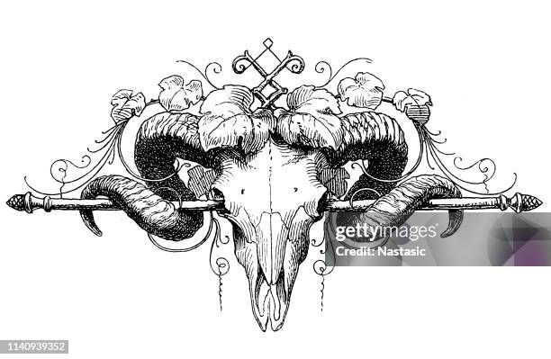 ram skull page ornament - black goat stock illustrations