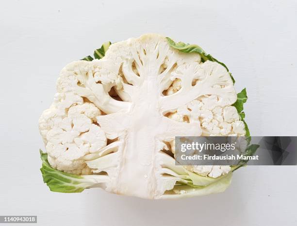 freshly cut in half cauliflower isolated against white background - cut in half ストックフォトと画像