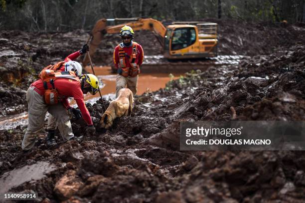 Sniffer dog locates body parts as emergency crews continue the slow process of picking through the mud looking for bodies, 99 days after the collapse...