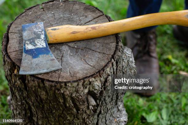 man standing next to an axe on a stump of wood, united states - hacha pequeña fotografías e imágenes de stock