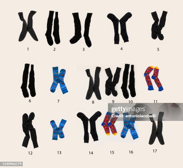 conceptual chromosomes lined up in pairs - compatibilità foto e immagini stock