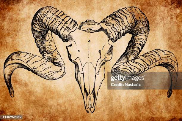 Ram Skull High-Res Vector Graphic - Getty Images