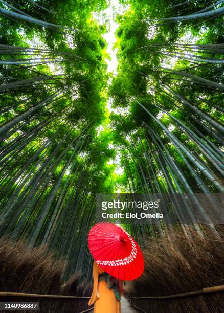 woman kimono and umbrella in arashiyama bamboo forest, kyoto. japan - arashiyama imagens e fotografias de stock