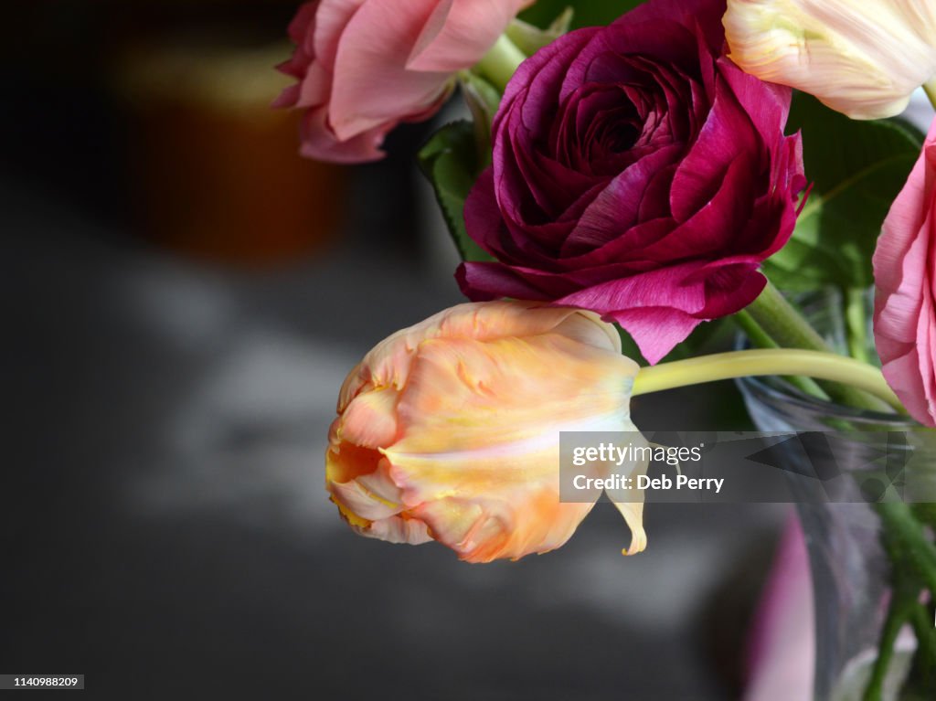 Closeup photo of a Rembrandt tulip in a floral arrangement