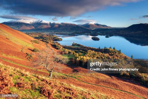 classic autumn time view from catbells mountain, lake district. uk. - blencathra 個照片及圖片檔