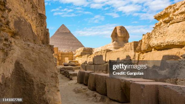 esfinge en giza, el cairo, egipto - giza fotografías e imágenes de stock