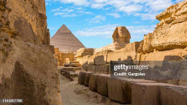 sphinx in giza, cairo, egypt - the sphinx stock pictures, royalty-free photos & images