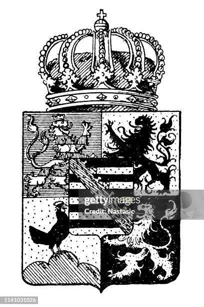 house of saxe-coburg and gotha - saxe coburg and gotha stock illustrations