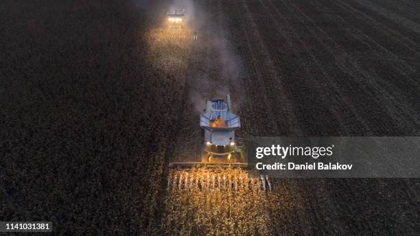 luftaufnahme einer gruppe von combine harvesters, die den agricultiral fierld nach sonnenuntergang ernten. sommer. landtechnik in kultiviertem land. nacht. working late. - stubble stock-fotos und bilder