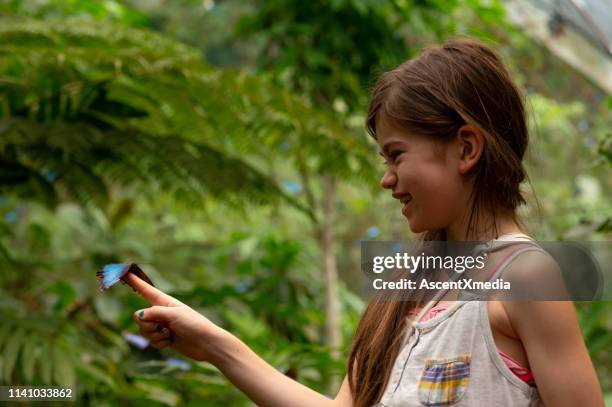 children learning about the natural world - monteverde costa rica stock pictures, royalty-free photos & images