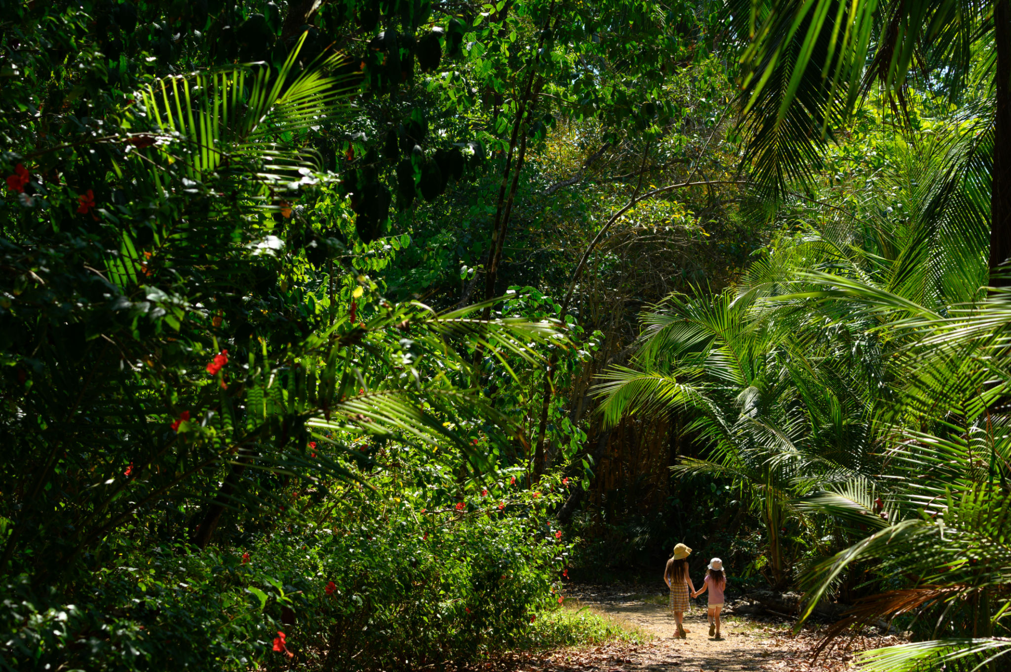 costa rica mountains