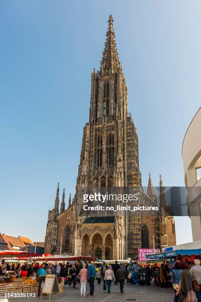 ulm minster and food market in front - ulm stock pictures, royalty-free photos & images