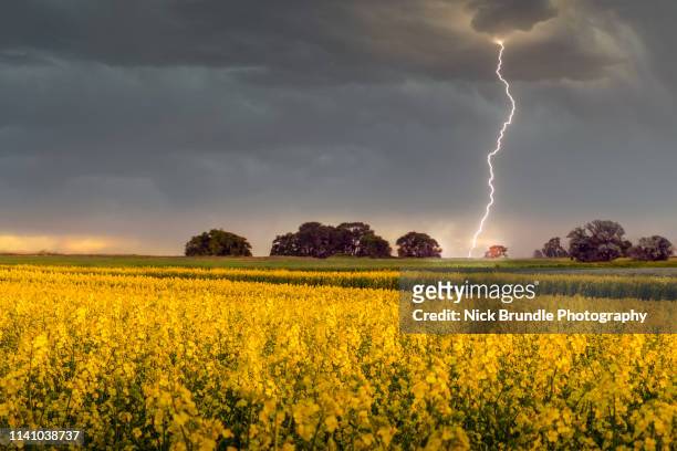 thunderstruck - thunderstorm uk stock pictures, royalty-free photos & images