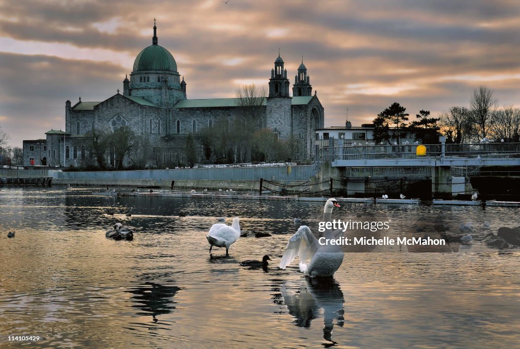 Galway Cathedral and swans