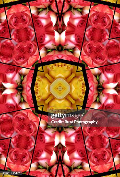 Symmetrical Red Roses 1,540 Symmetrical Rose Stock Photos, High-Res Pictures, and Images ...