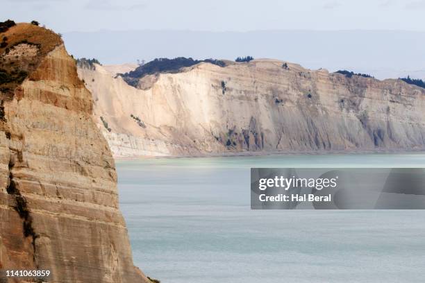 cliffs at cape kidnappers - cape kidnappers fotografías e imágenes de stock