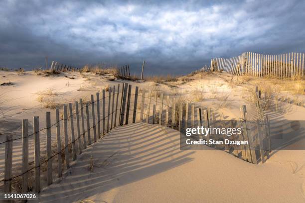 southampton long island beach dunes - long beach new york stock pictures, royalty-free photos & images