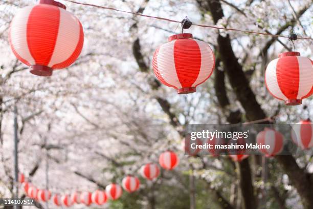red and white striped lanterns - papieren lampion stockfoto's en -beelden
