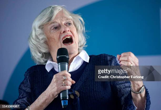 Ann Widdecombe speaks during a Brexit Party campaign rally at Mill Farm, home of A.F.C Flyde on May 4, 2019 in Wesham, United Kingdom. Nigel Farage,...